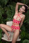 Ariela - In Jungle 07-25 x6qoihrg5w