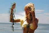 36 free sex movies-36 films sexuels gratuits 66v0h73nk3