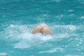 Amazing Amateurs Anything Goes 32 t6v4idxlh3