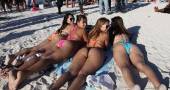 Amazing Amateurs Anything Goes 47 x6v479jqow