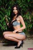 Isabella B Animal Lingerie Outside z6vk1vr0tb