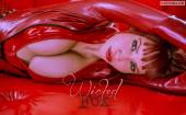 Wicked Fox t6vnbo206t