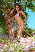 Chloe Saxon Stripping From Her Cute Floral Bikini 16vod64ms6