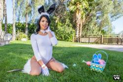 Gina Valentina Bailey Brooke Easter Bunnies - 228x 16wa7lupbg