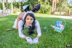 Gina Valentina Bailey Brooke Easter Bunnies - 228x y6wa7lj10d