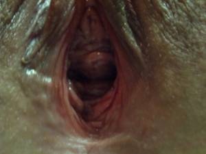 Amateur 54-0007 36wvoxuhuk