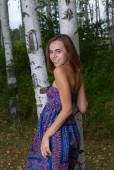 Birch Forest with Gracie 26xgc95rrn