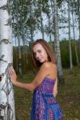 Birch Forest with Gracie j6xgc91trv