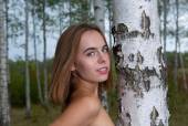 Birch Forest with Gracie a6xgcjalmu
