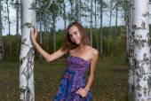 Birch Forest with Gracie a6xgc93jan