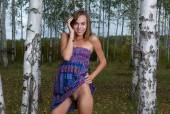Birch Forest with Gracie t6xgc94s36