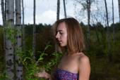 Birch Forest with Gracie c6xgclwzoe