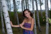 Birch Forest with Gracie y6xgcmeoxj