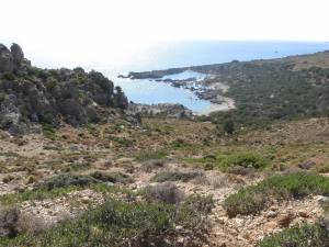 Naturaleza viva x39 b6x54hvk3a