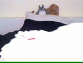 Cam free captures girls jpg 06x5re1r3k