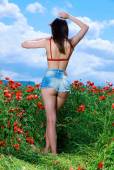 Field Of Love with Gabrielle 56x98hwzox