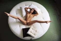 Joy Lamore Round Bed - 123 pictures - 6000px t7a4j5fb6i