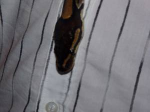 Snake Seks x168 i7a6slk7qy