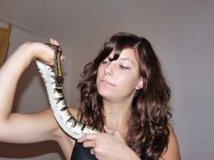 Snake Seks x168 d7a6sln61u