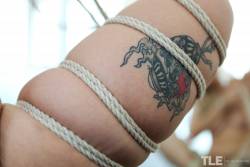  Violet Devine Rope  17a9s2dl1d