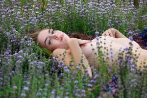 Agatha Ann â€“ Lavender 06-01 p7al991l17