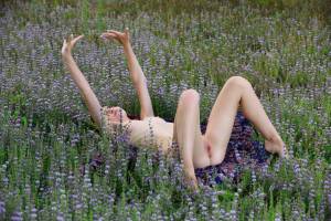 Agatha Ann â€“ Lavender 06-01 i7al992k7b