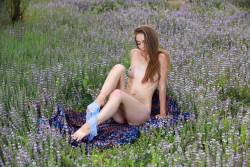 Agatha Ann Lavender - 120 pictures - 6720px t7anevwa2a