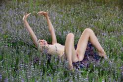 Agatha Ann Lavender - 120 pictures - 6720px b7anew3nt0