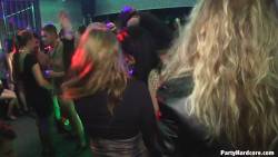 Party-Hardcore-Gone-Crazy-1920px-x124-u7aoog0fm2.jpg