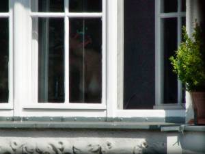 Spying girl next door 67atuecs07