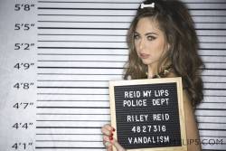 Riley Reid Busted 150x 5760x3840  h7av3sstm1