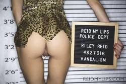 Riley Reid Busted 150x 5760x3840  i7av3t2zyj