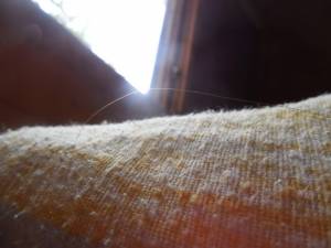 vacation 002 57b3gxhqbr