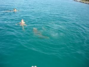 vacation 025 s7b316p76w