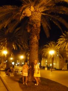 vacation 025 e7b31k3pjb