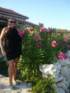 vacation 025 v7b31oke1b