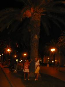 vacation 025 37b31k255r