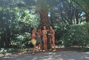 vacation 028 f7b33cvhow