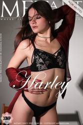 Presenting-Harley-123-pictures-6720px-u7b5ggsppy.jpg