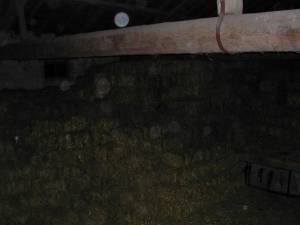 Amateur 9LLN6OQ [x50] x7b9wj3745