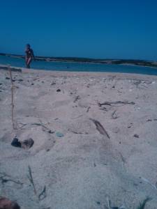 Antiparos and Koufonissi, Greece (30 Pics) d7b9tl6ung