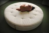 Round Bed with Joy Lamore t7bl6fnjle